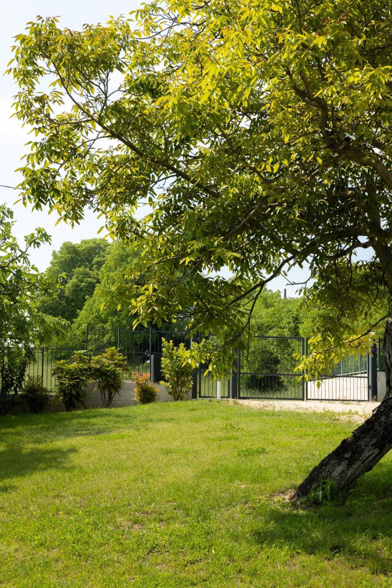 Bed And Breakfast Le Giale Кастельнуово-дель-Гарда Экстерьер фото